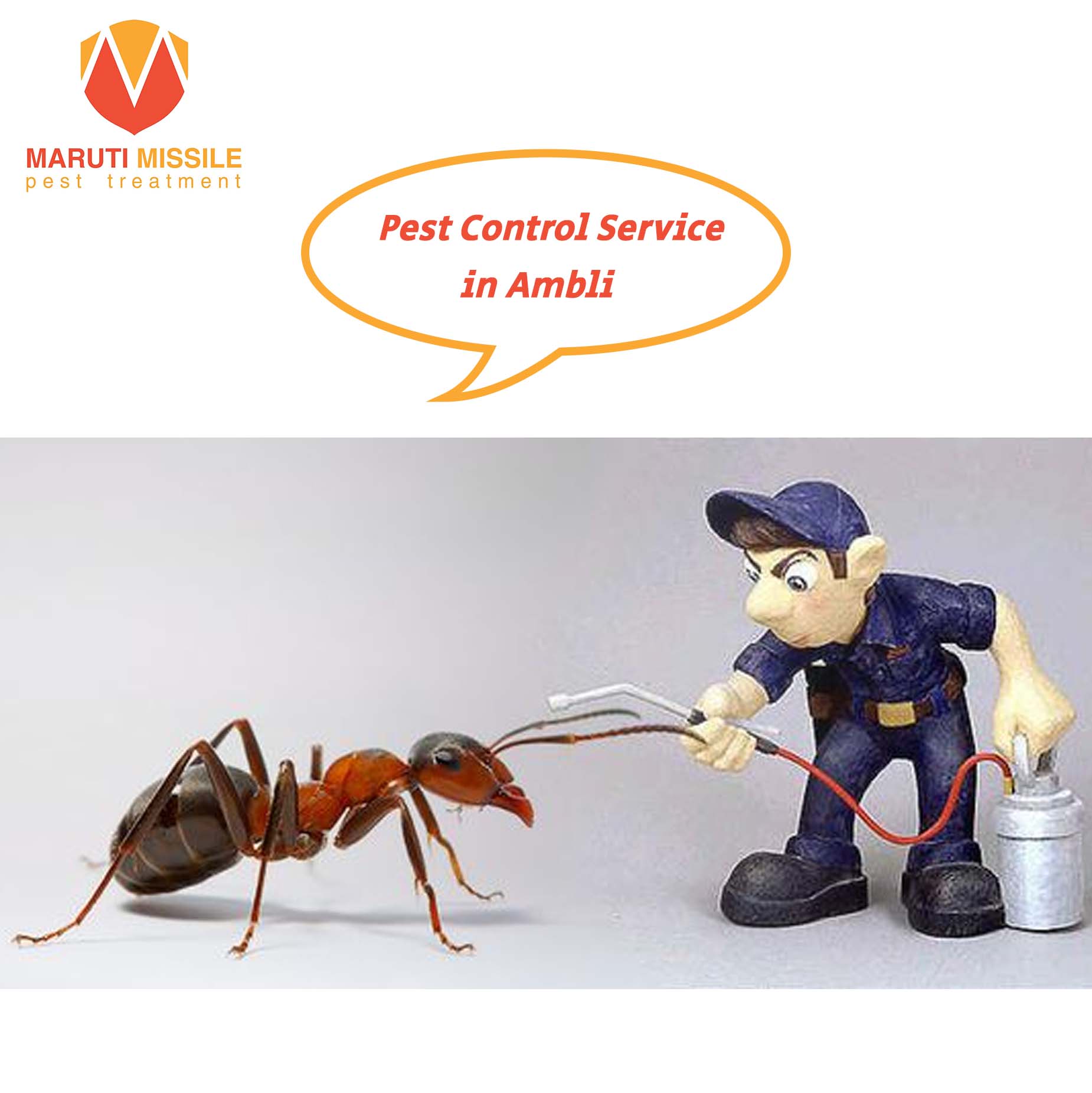 Pest Control Service in Ambli